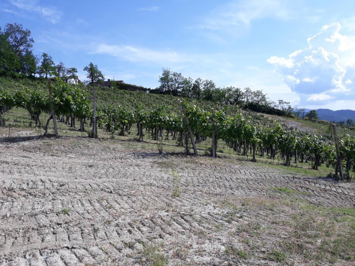 Agriturismo Il Biancospino Bed & Wine Apartment Lerma Exterior photo